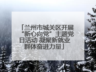 兰州市城关区开展“新心向党”主题党日活动 凝聚新就业群体奋进力量