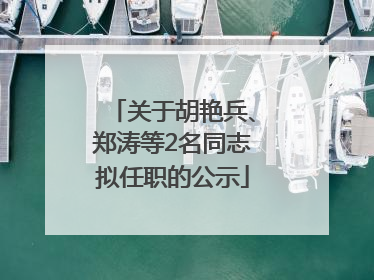 关于胡艳兵、郑涛等2名同志拟任职的公示