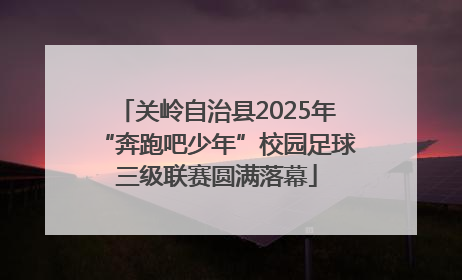 关岭自治县2025年“奔跑吧少年”校园足球三级联赛圆满落幕