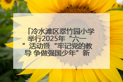 冷水滩区翠竹园小学举行2025年“六一”活动暨“牢记党的教导 争做强国少年”新队员入队仪式