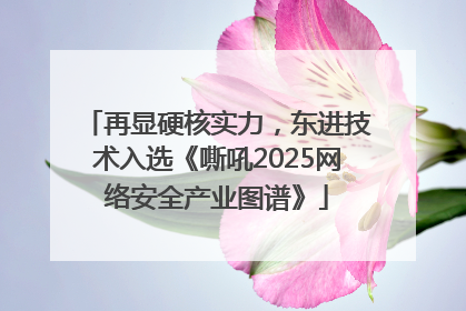再显硬核实力，东进技术入选《嘶吼2025网络安全产业图谱》