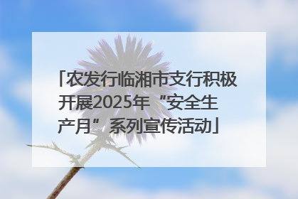 农发行临湘市支行积极开展2025年“安全生产月”系列宣传活动