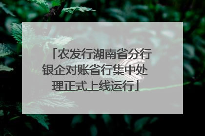 农发行湖南省分行银企对账省行集中处理正式上线运行
