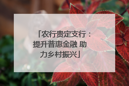 农行贵定支行：提升普惠金融 助力乡村振兴