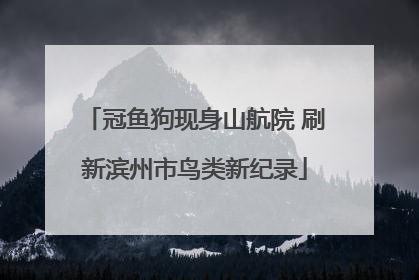冠鱼狗现身山航院 刷新滨州市鸟类新纪录