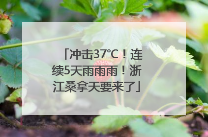 冲击37℃！连续5天雨雨雨！浙江桑拿天要来了