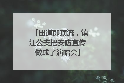 出道即顶流，镇江公安把安防宣传做成了演唱会