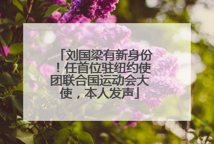 刘国梁有新身份！任首位驻纽约使团联合国运动会大使，本人发声
