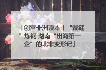 创富非洲读本丨“裁缝”炼钢 湖南“出海第一企”的北非变形记