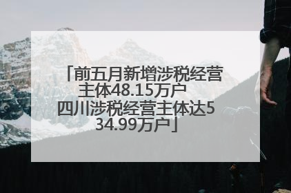 前五月新增涉税经营主体48.15万户 四川涉税经营主体达534.99万户