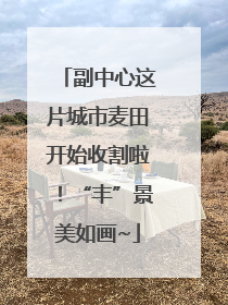 副中心这片城市麦田开始收割啦！“丰”景美如画~