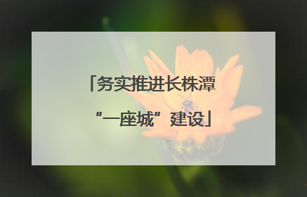 务实推进长株潭“一座城”建设