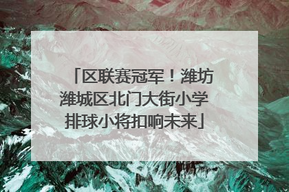 区联赛冠军！潍坊潍城区北门大街小学排球小将扣响未来