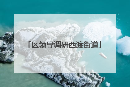 区领导调研西渡街道