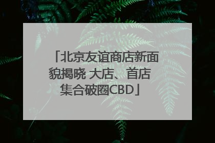 北京友谊商店新面貌揭晓 大店、首店集合破圈CBD