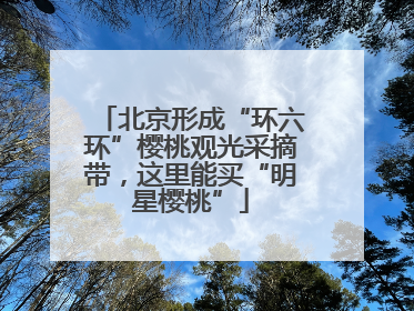 北京形成“环六环”樱桃观光采摘带，这里能买“明星樱桃”