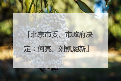 北京市委、市政府决定：何亮、刘凯履新
