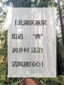 北湖区燕泉街道：“典”润乡村 法治清风拂民心