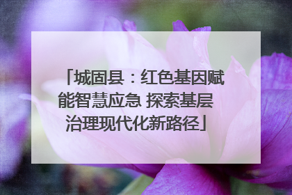 城固县：红色基因赋能智慧应急 探索基层治理现代化新路径