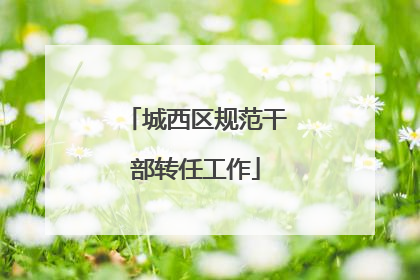 城西区规范干部转任工作