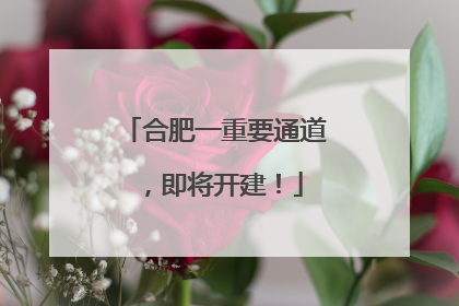 合肥一重要通道，即将开建！