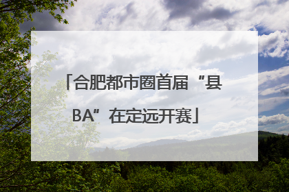 合肥都市圈首届“县BA”在定远开赛
