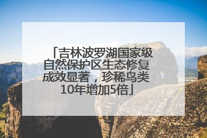吉林波罗湖国家级自然保护区生态修复成效显著，珍稀鸟类10年增加5倍
