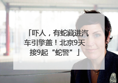 吓人，有蛇藏进汽车引擎盖！北京9天接9起“蛇警”