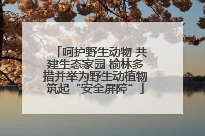 呵护野生动物 共建生态家园 榆林多措并举为野生动植物筑起“安全屏障”