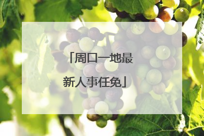 周口一地最新人事任免