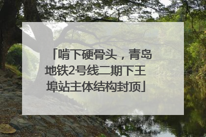 啃下硬骨头，青岛地铁2号线二期下王埠站主体结构封顶