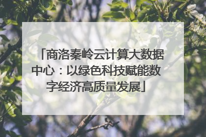 商洛秦岭云计算大数据中心：以绿色科技赋能数字经济高质量发展