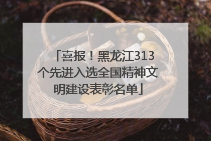 喜报！黑龙江313个先进入选全国精神文明建设表彰名单