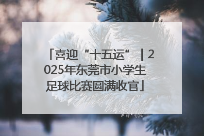 喜迎“十五运”｜2025年东莞市小学生足球比赛圆满收官