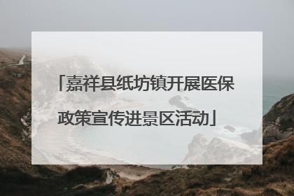 嘉祥县纸坊镇开展医保政策宣传进景区活动