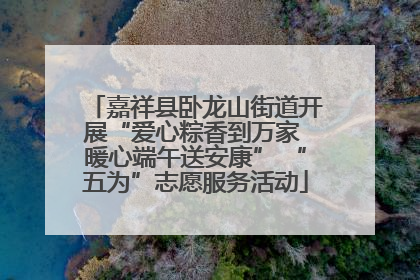 嘉祥县卧龙山街道开展“爱心粽香到万家 暖心端午送安康” “五为”志愿服务活动