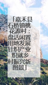 嘉禾县石桥镇桃花源村：盘活闲置用地发展针织产业 织就乡村振兴新图景