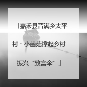 嘉禾县普满乡太平村：小菌菇撑起乡村振兴“致富伞”