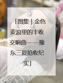 图集｜金色麦浪里的丰收交响曲——豫东三夏抢收纪实
