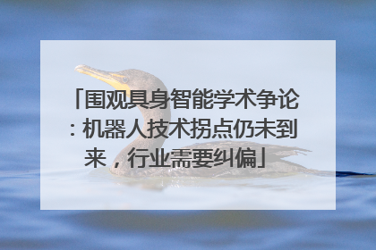 围观具身智能学术争论：机器人技术拐点仍未到来，行业需要纠偏