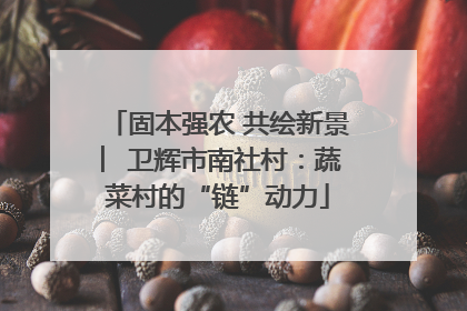 固本强农 共绘新景 ︳卫辉市南社村：蔬菜村的“链”动力