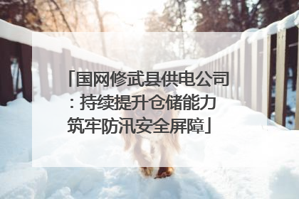 国网修武县供电公司：持续提升仓储能力 筑牢防汛安全屏障
