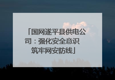 国网遂平县供电公司：强化安全意识 筑牢网安防线