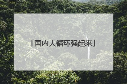 国内大循环强起来