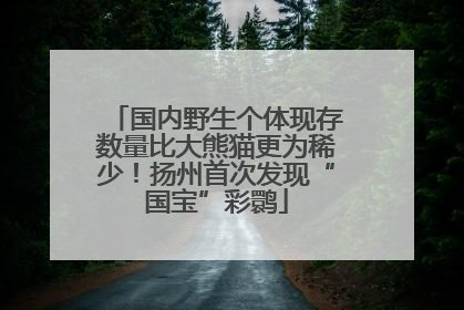 国内野生个体现存数量比大熊猫更为稀少！扬州首次发现“国宝”彩鹮