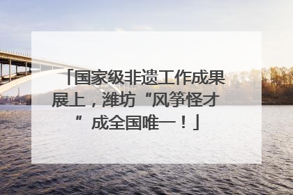 国家级非遗工作成果展上，潍坊“风筝怪才”成全国唯一！