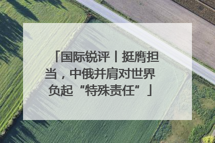 国际锐评丨挺膺担当，中俄并肩对世界负起“特殊责任”