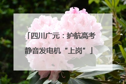 四川广元：护航高考 静音发电机“上岗”