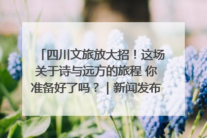 四川文旅放大招！这场关于诗与远方的旅程 你准备好了吗？｜新闻发布最前线·深一度