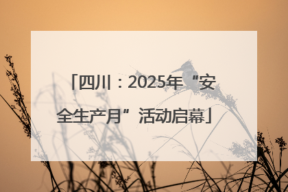 四川：2025年“安全生产月”活动启幕